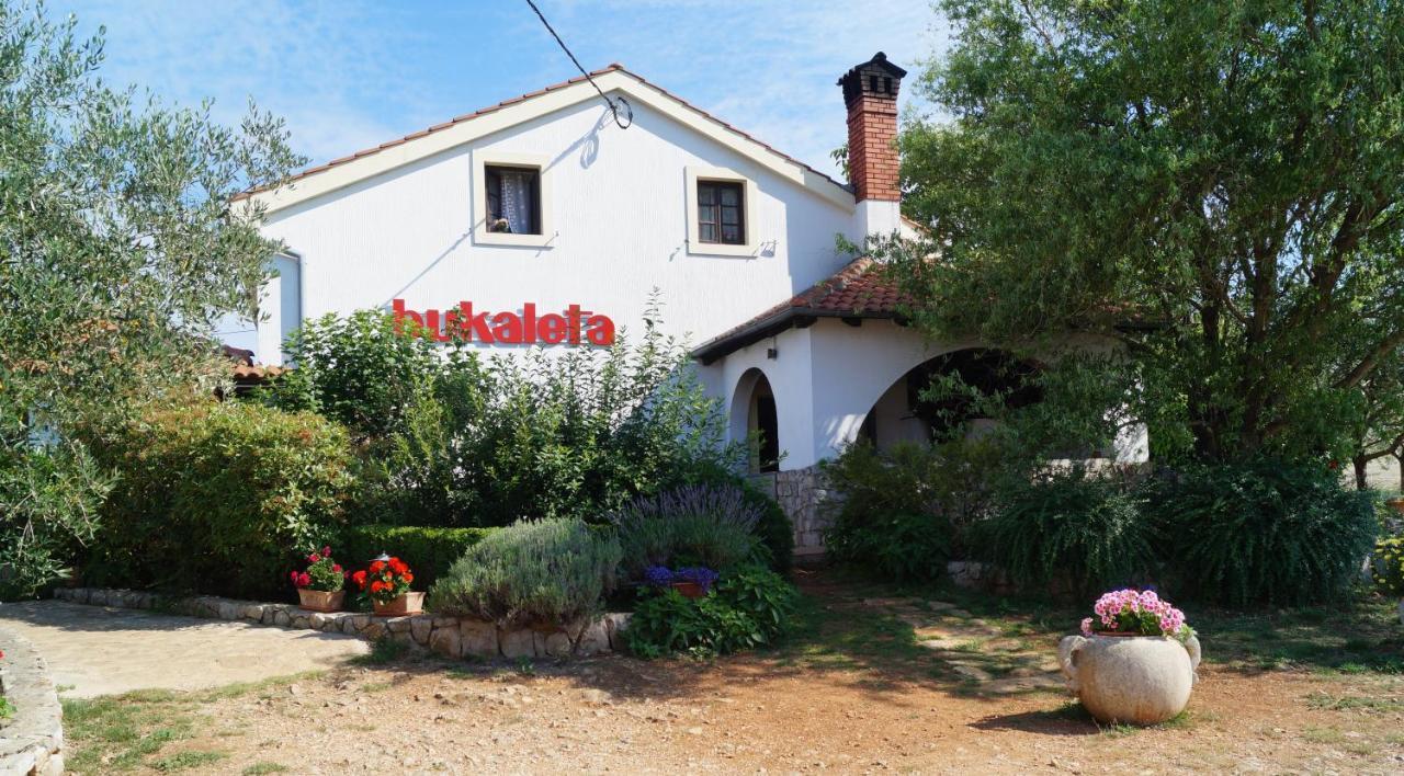 Bed and Breakfast Sobe Bukaleta Loznati Экстерьер фото